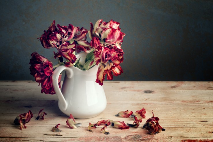 Withered Flowers shutterstock_180107483
